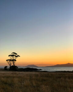 Tasmania Tasmania