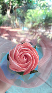 IWD rose IWD rose