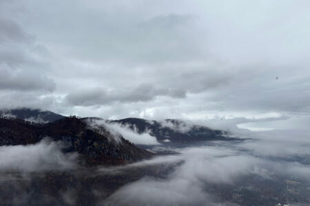 fog fog